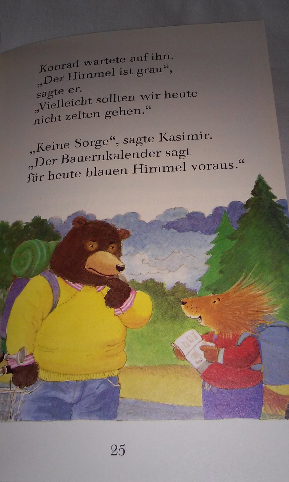 Ein Bild von Kasimir Stachelschwein Bär Kinderbuch Geschenktipp