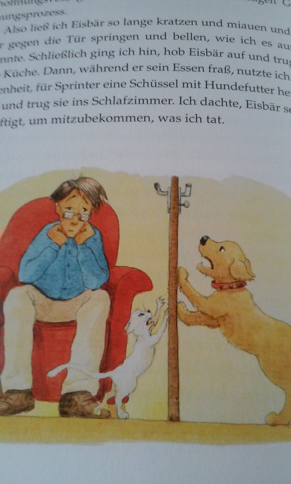Die Katze, die zur Weihnacht kam  wahre Geschichte/Roman/Erzählung  -Geschenktipp-