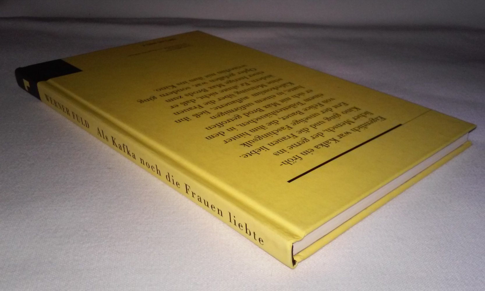 Als Kafka noch die Frauen liebte. Unwahre Anekdoten über das Leben, die Liebe und die Kunst  Sammlerstück  Geschenktipp