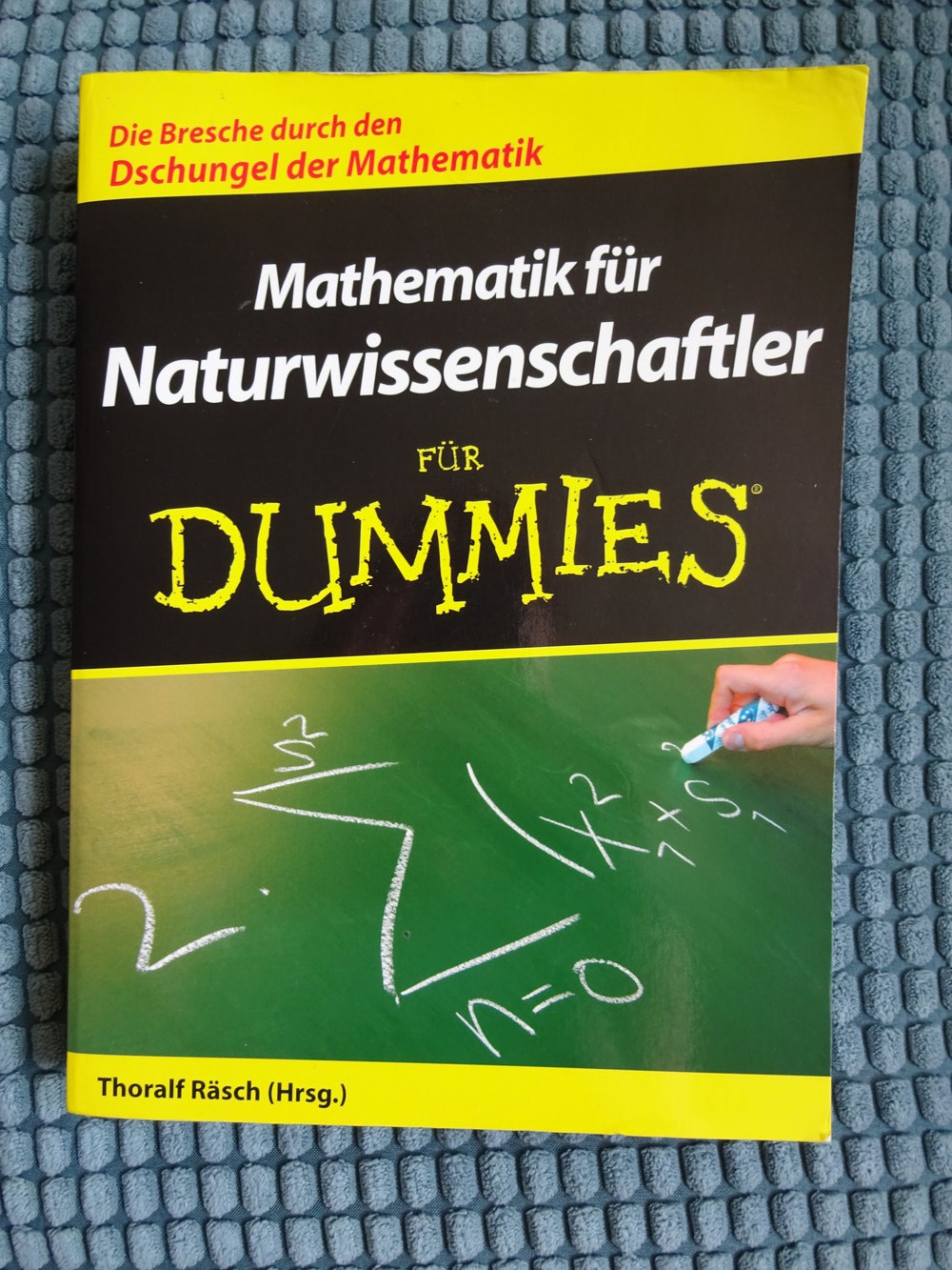 Mathematik für Naturwissenschaftler für Dummies :: Kleiderkorb.ch