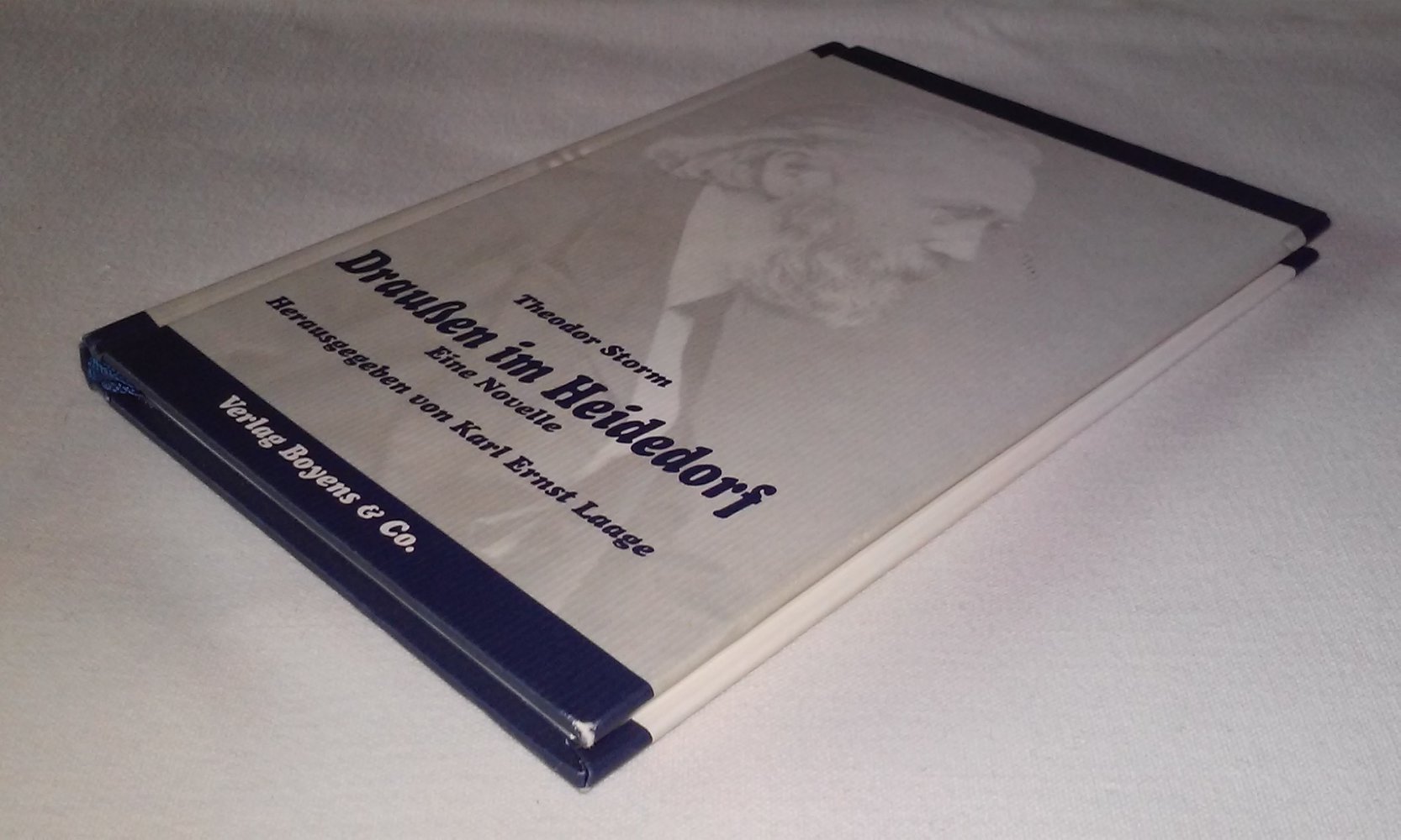 Draußen im Heidedorf. Eine Novelle Theodor Storm  Sammlerstück Geschenktipp