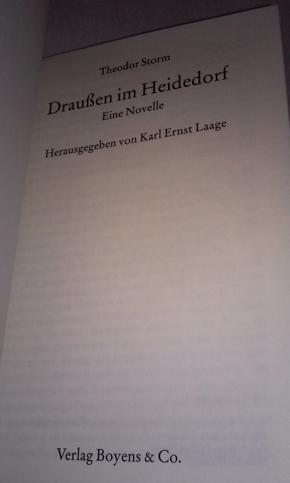 Draußen im Heidedorf. Eine Novelle Theodor Storm  Sammlerstück Geschenktipp