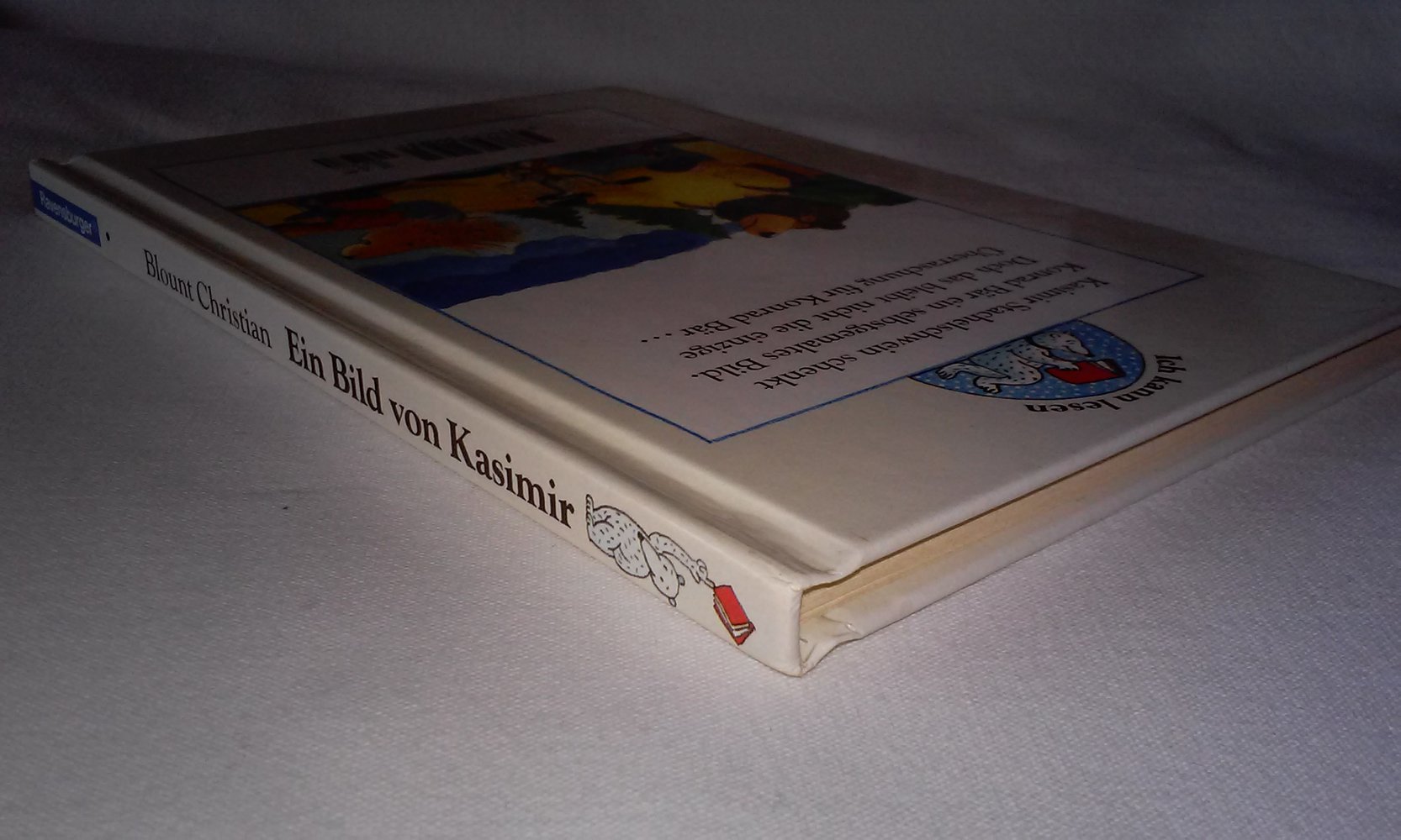 Ein Bild von Kasimir Stachelschwein Bär Kinderbuch Geschenktipp