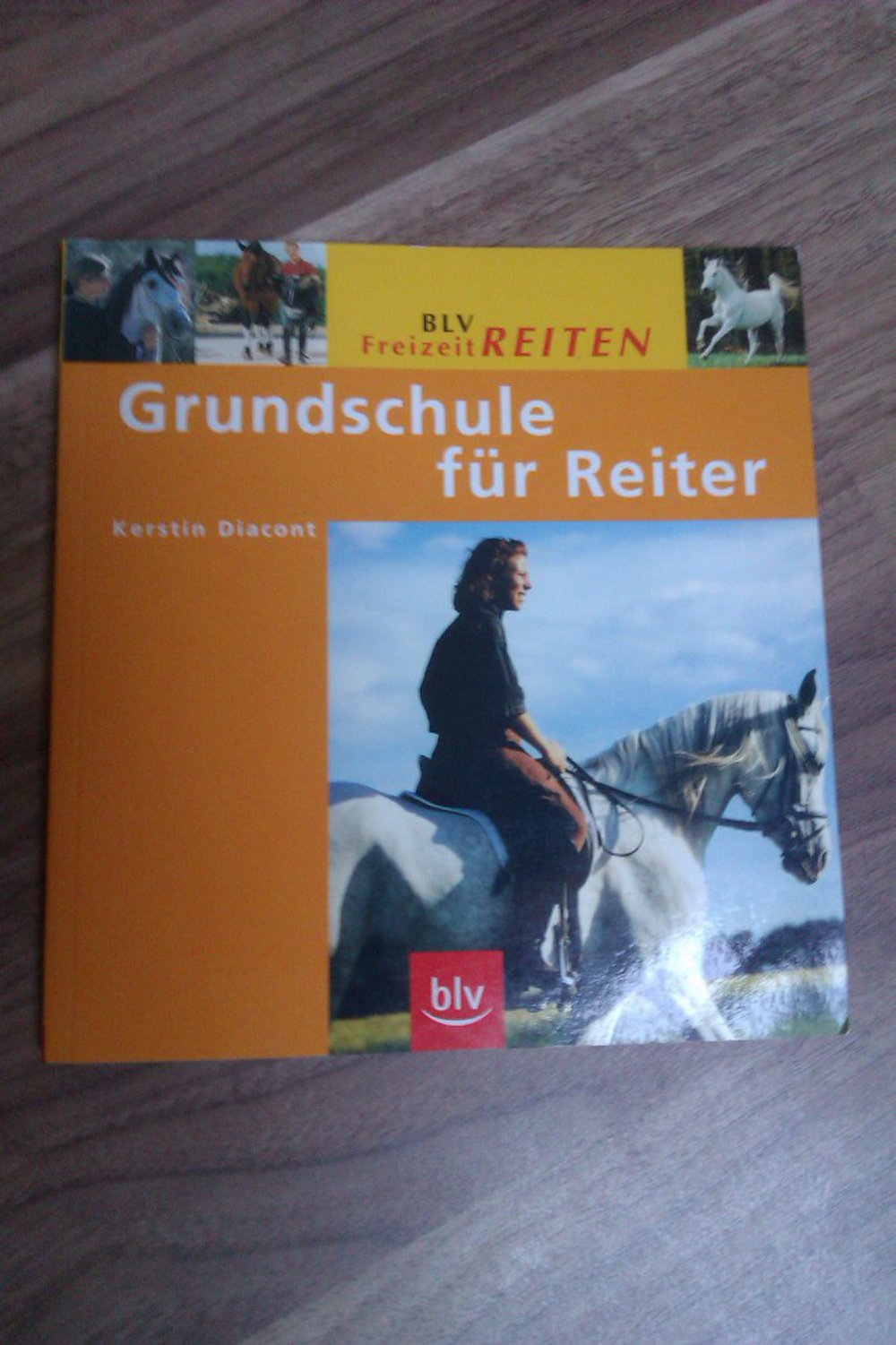 Grundschule für Reiter