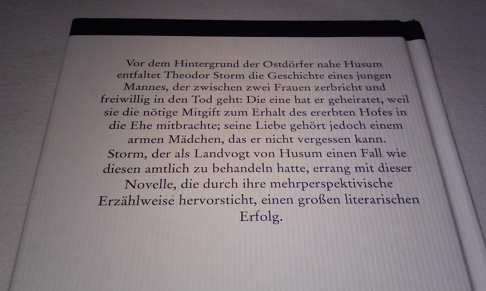 Draußen im Heidedorf. Eine Novelle Theodor Storm  Sammlerstück Geschenktipp
