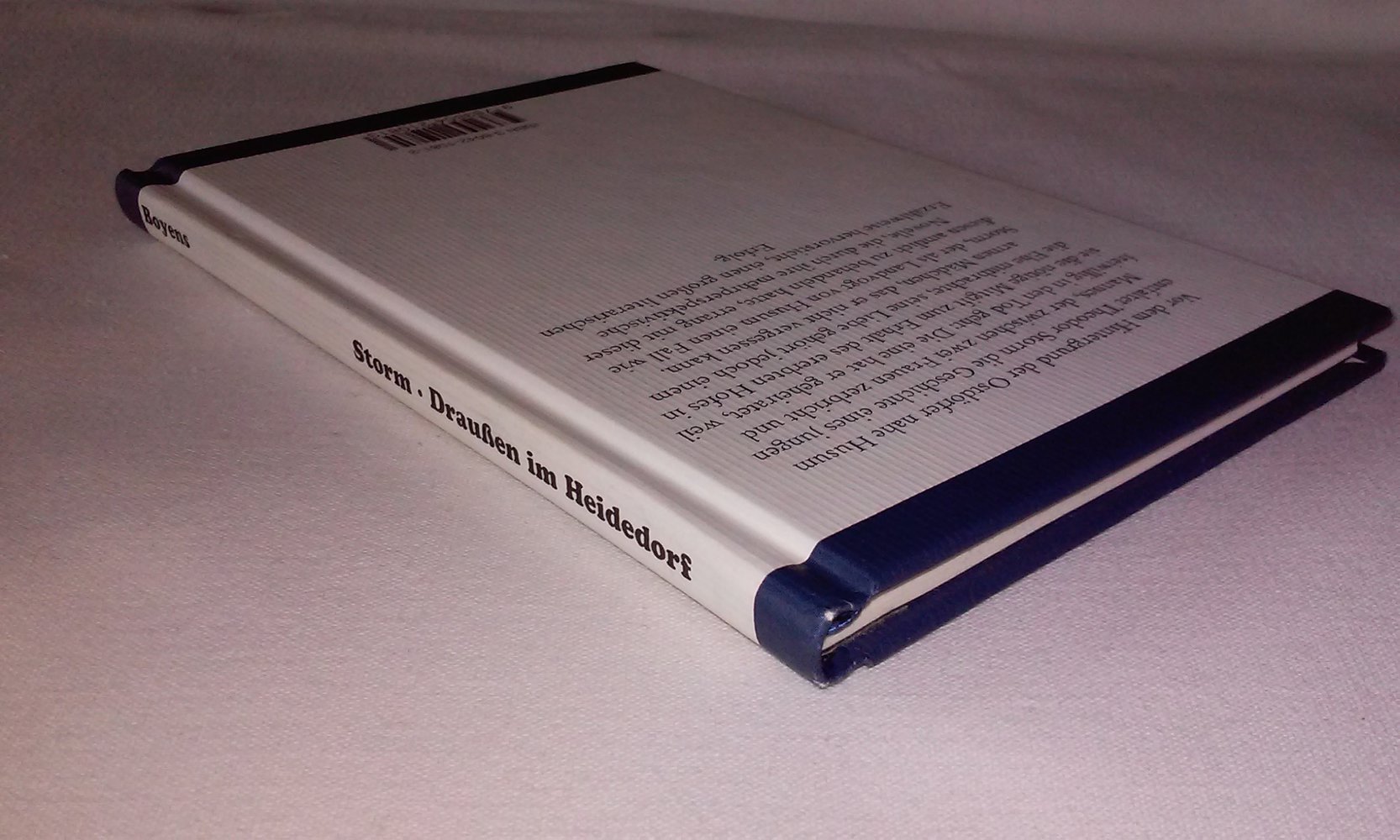 Draußen im Heidedorf. Eine Novelle Theodor Storm  Sammlerstück Geschenktipp