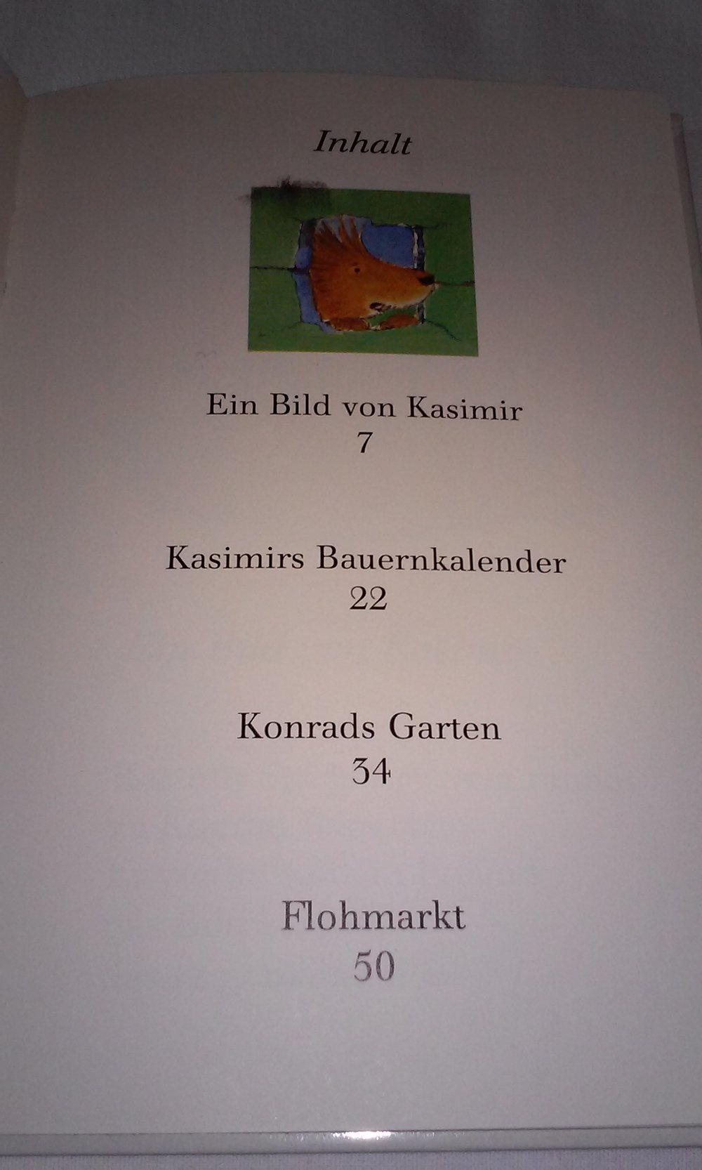 Ein Bild von Kasimir Stachelschwein Bär Kinderbuch Geschenktipp