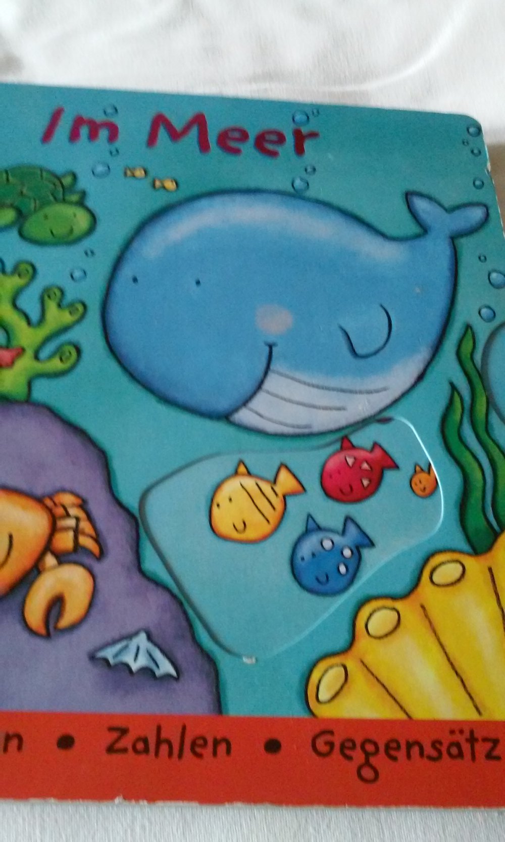Im Meer Formen - Farben - Zahlen - Gegensätze  Pappbilderbuch mit Klappen uä Spielen u Lernen Kinderbuch wie neu Geschenktipp
