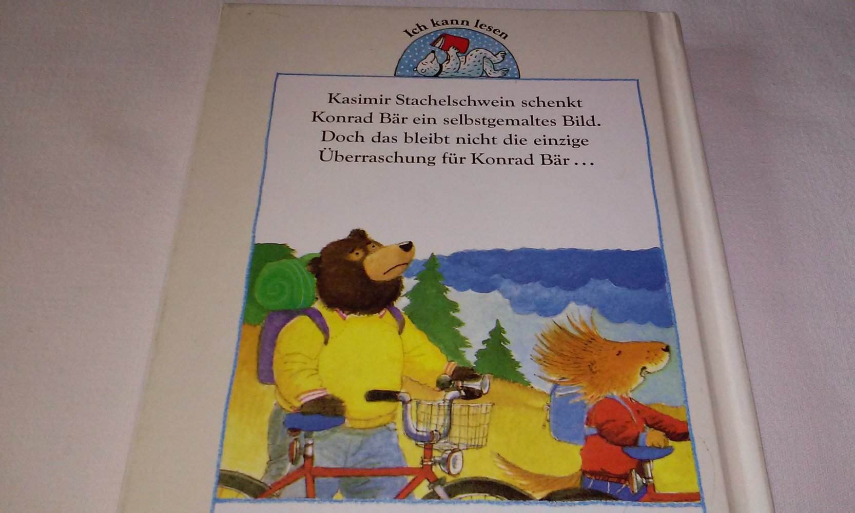 Ein Bild von Kasimir Stachelschwein Bär Kinderbuch Geschenktipp