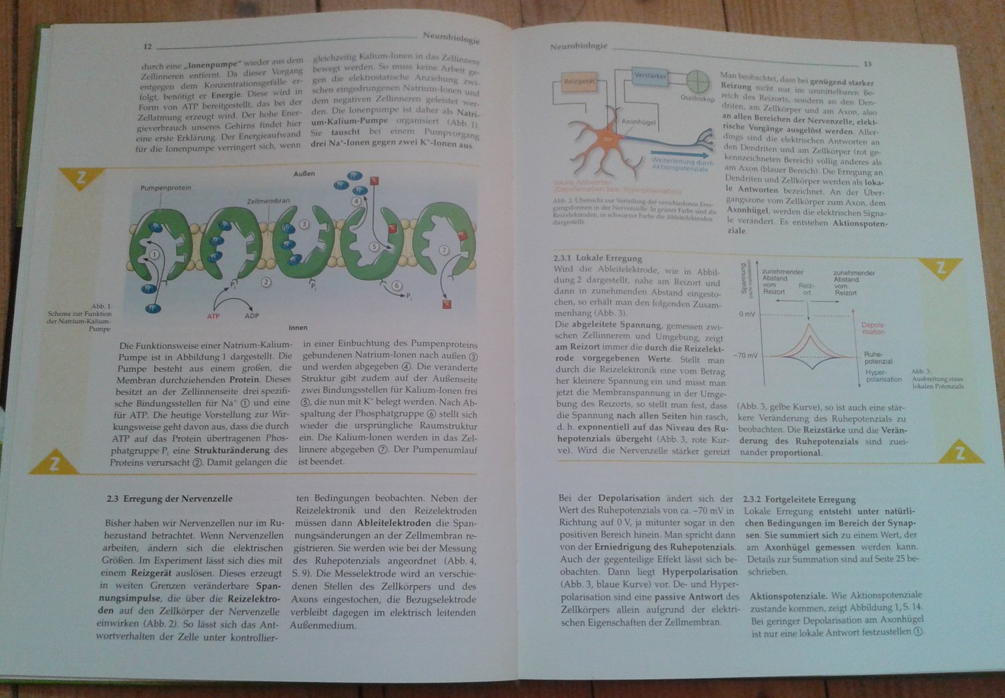 Biologie 2