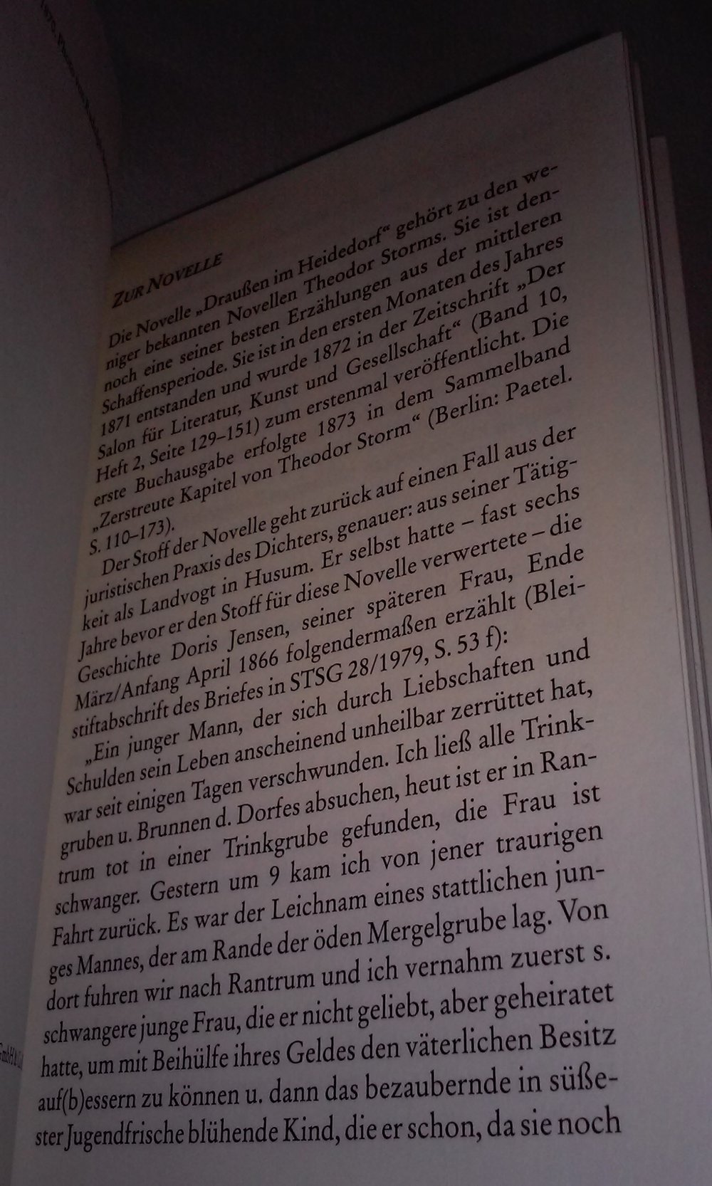 Draußen im Heidedorf. Eine Novelle Theodor Storm  Sammlerstück Geschenktipp