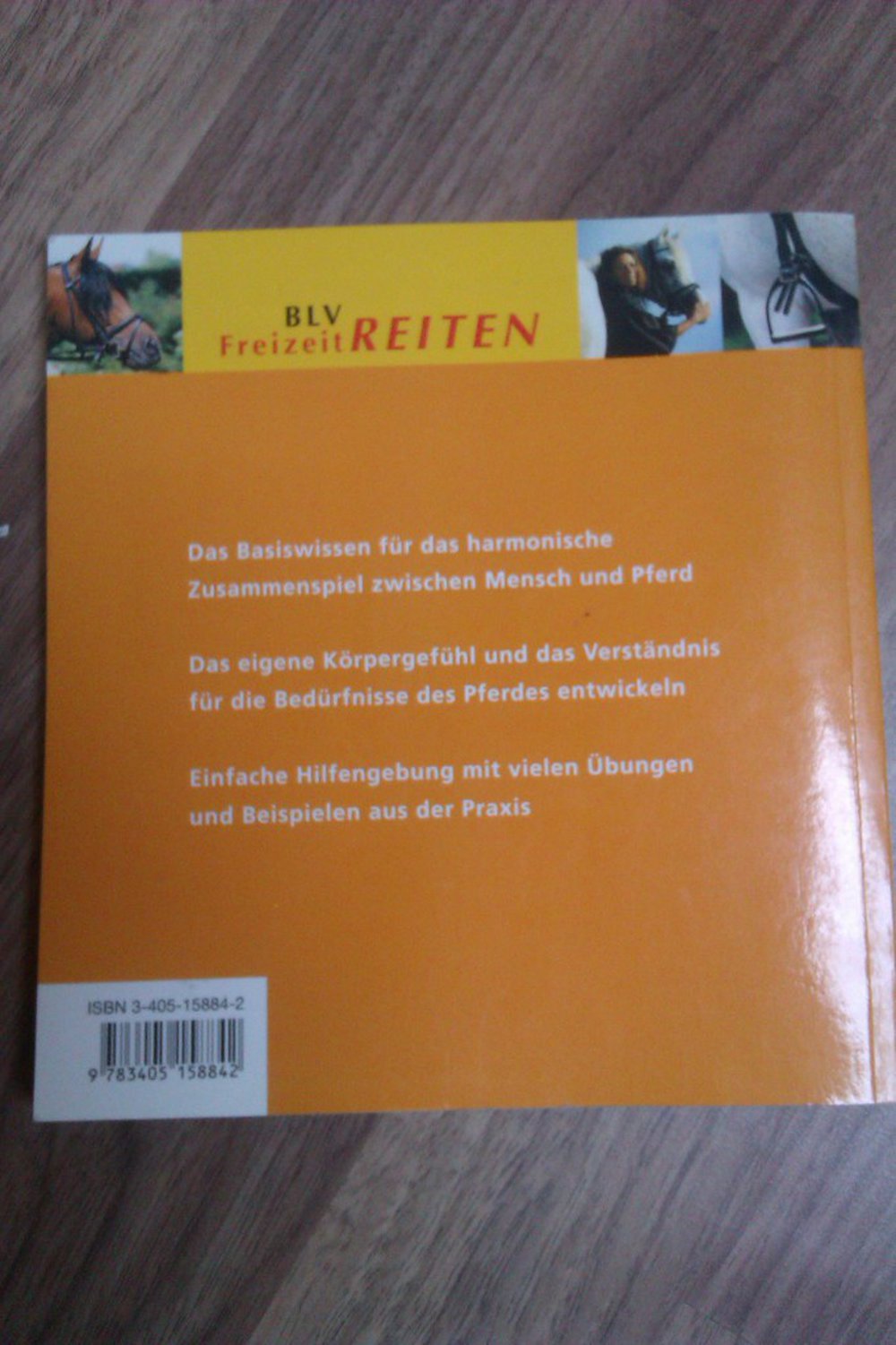 Grundschule für Reiter