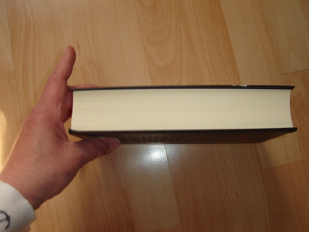 Noah - Sebastian Fitzek - Gebundene Ausgabe - Neuwertig - 2015