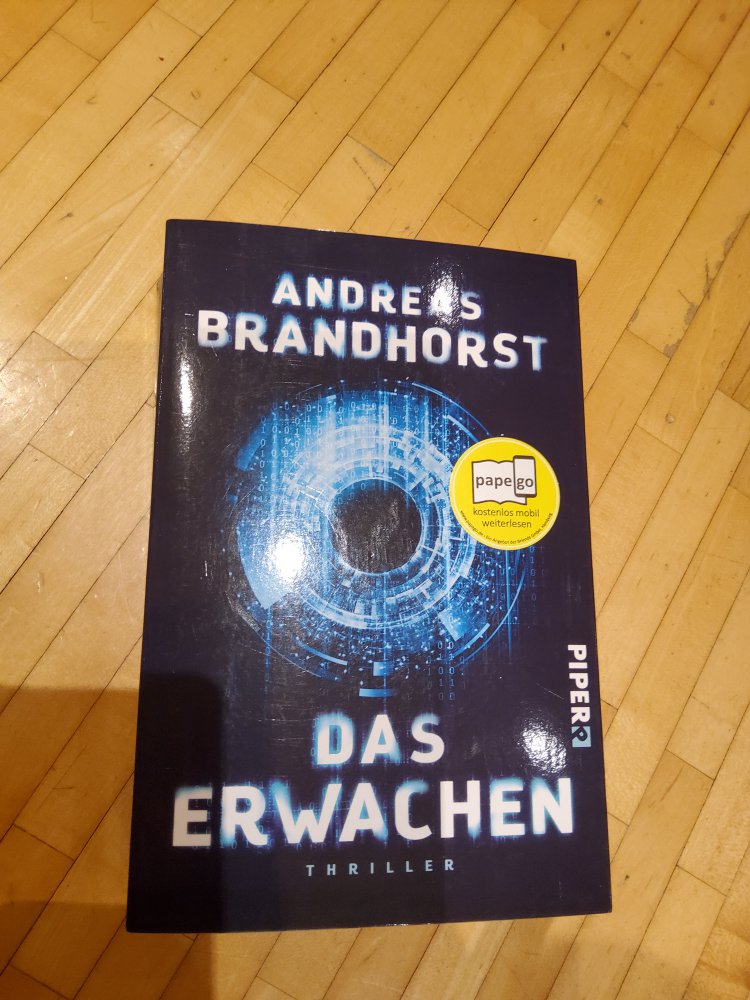 Brandhorst Das Erwachen