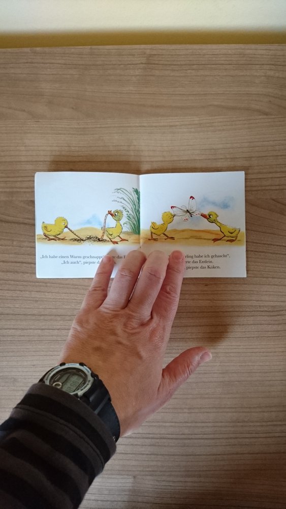 Pixi Buch 