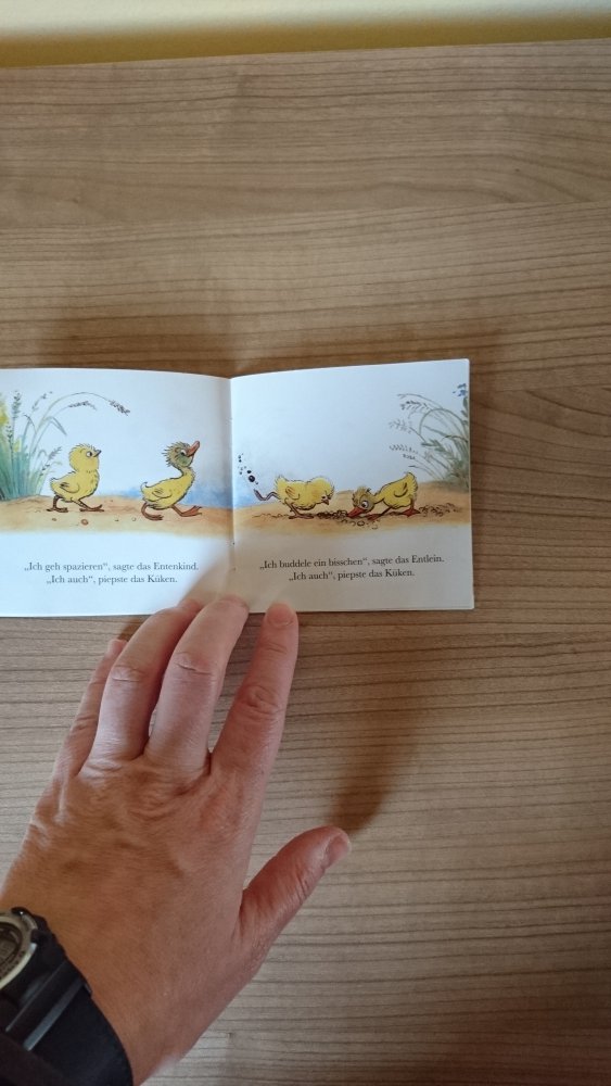 Pixi Buch 