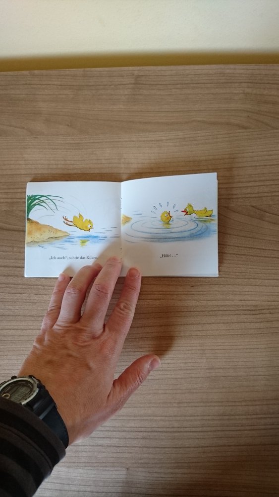 Pixi Buch 