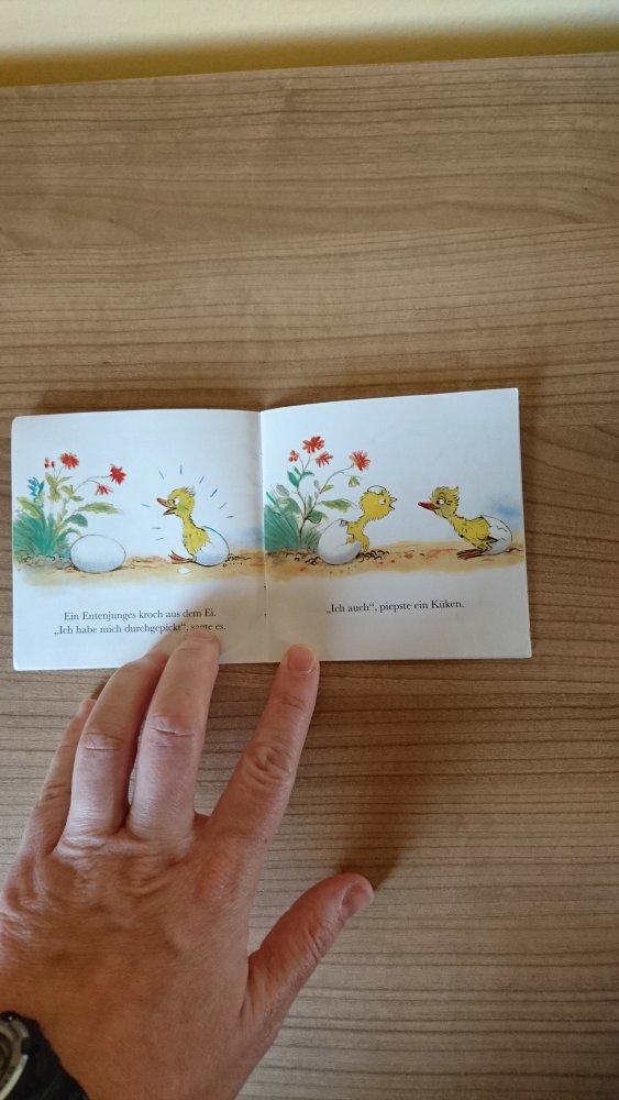 Pixi Buch 