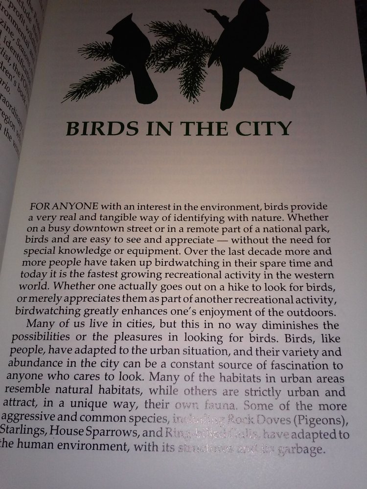 Gerald McKeating: Birds of Toronto and vicinity 