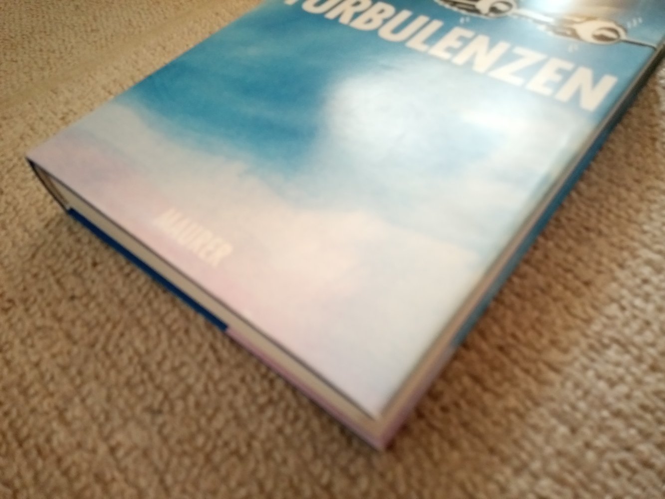  Rul Bückle/Co-Autor Axel Nowak - Turbulenzen