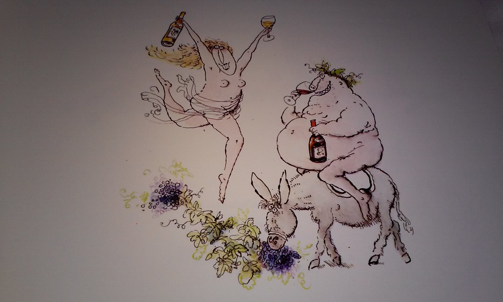 Ronald Searle's Jllustrierte Weinsprache