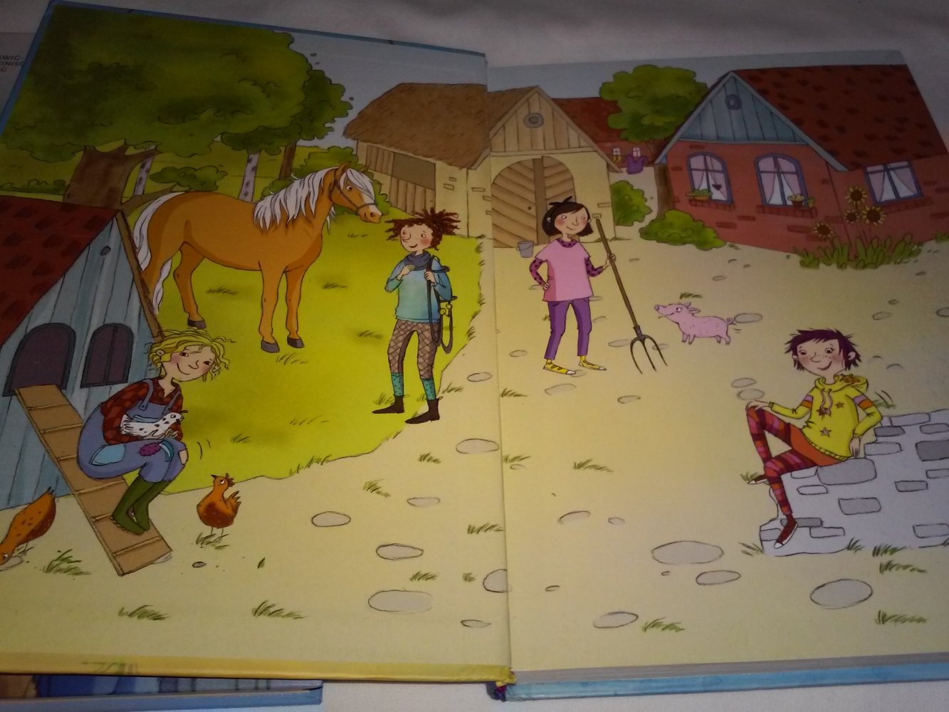 Die frechen Vier/Die Förde-Detektive (je Bd.1)Kinder-Krimi