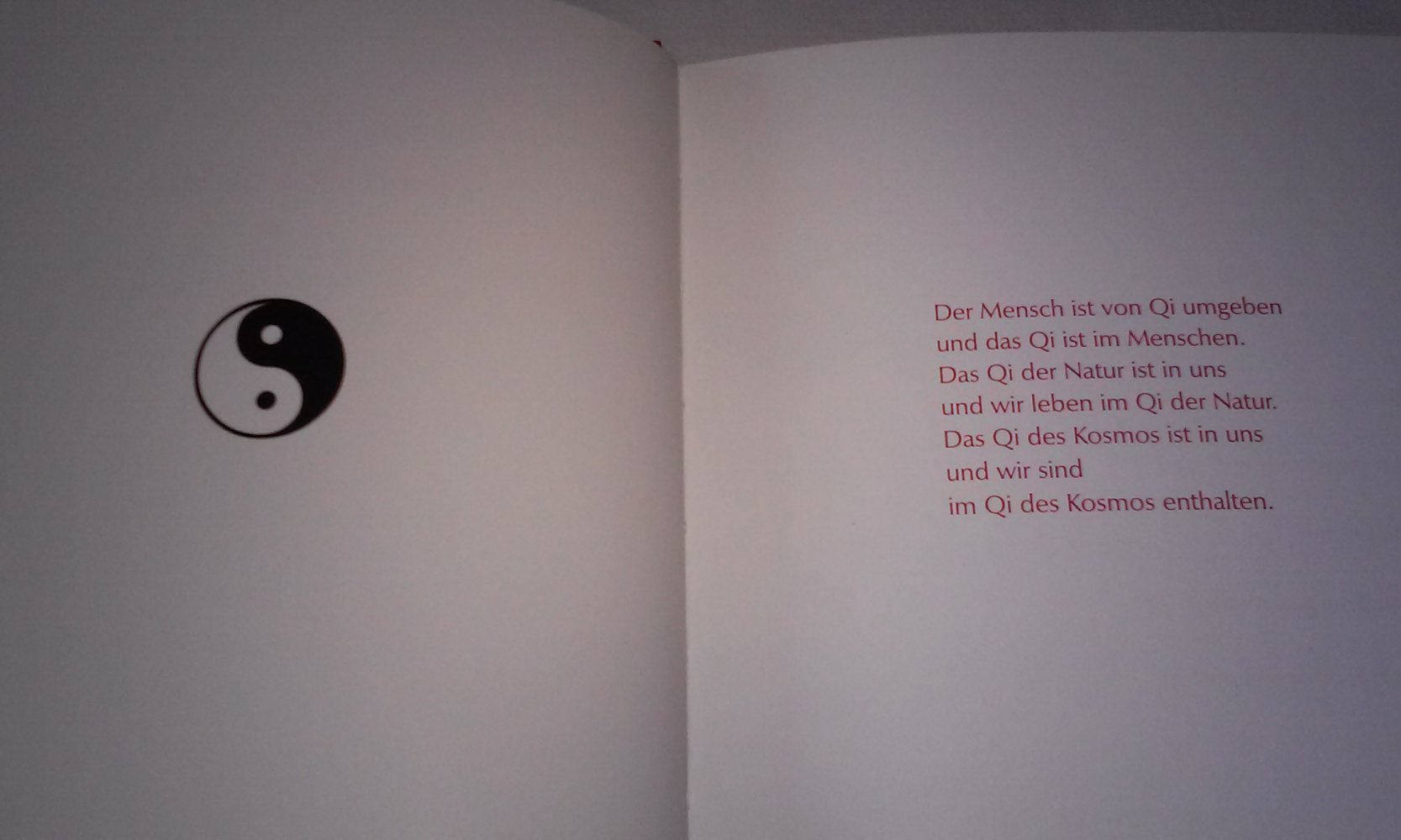 Nie mehr müde: Mit Leichtigkeit mehr Lebensenergie Inka Jochum Geschenktipp