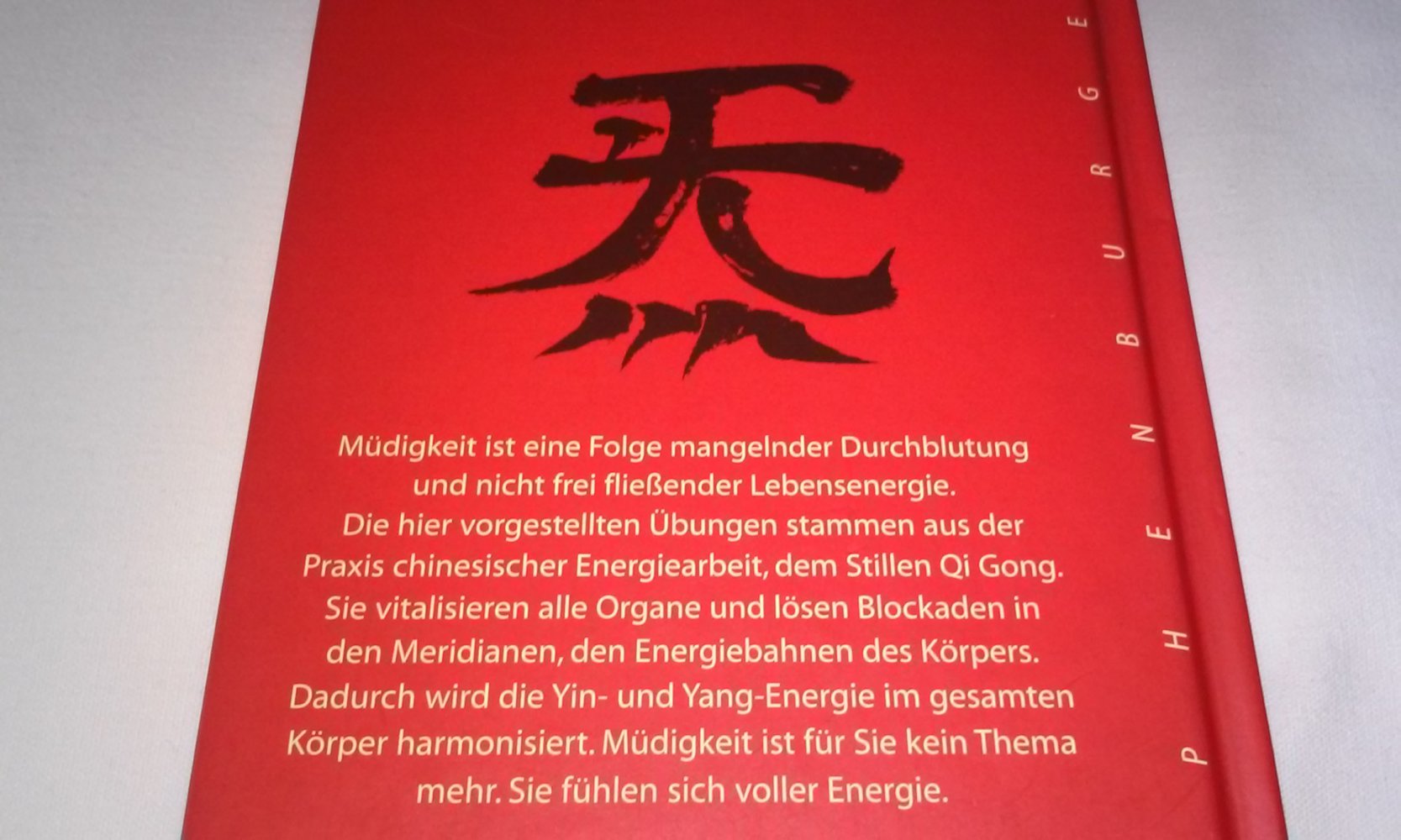 Nie mehr müde: Mit Leichtigkeit mehr Lebensenergie Inka Jochum Geschenktipp