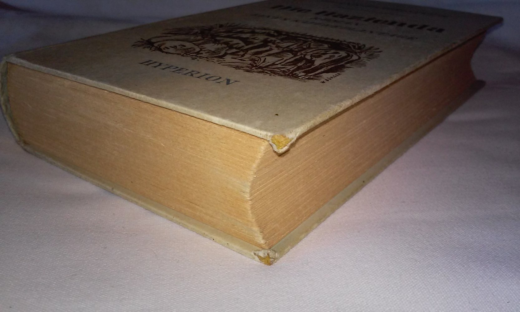 Die Hazienda - historischer Roman einer Kaffeeplantage alte deut.Schrift
