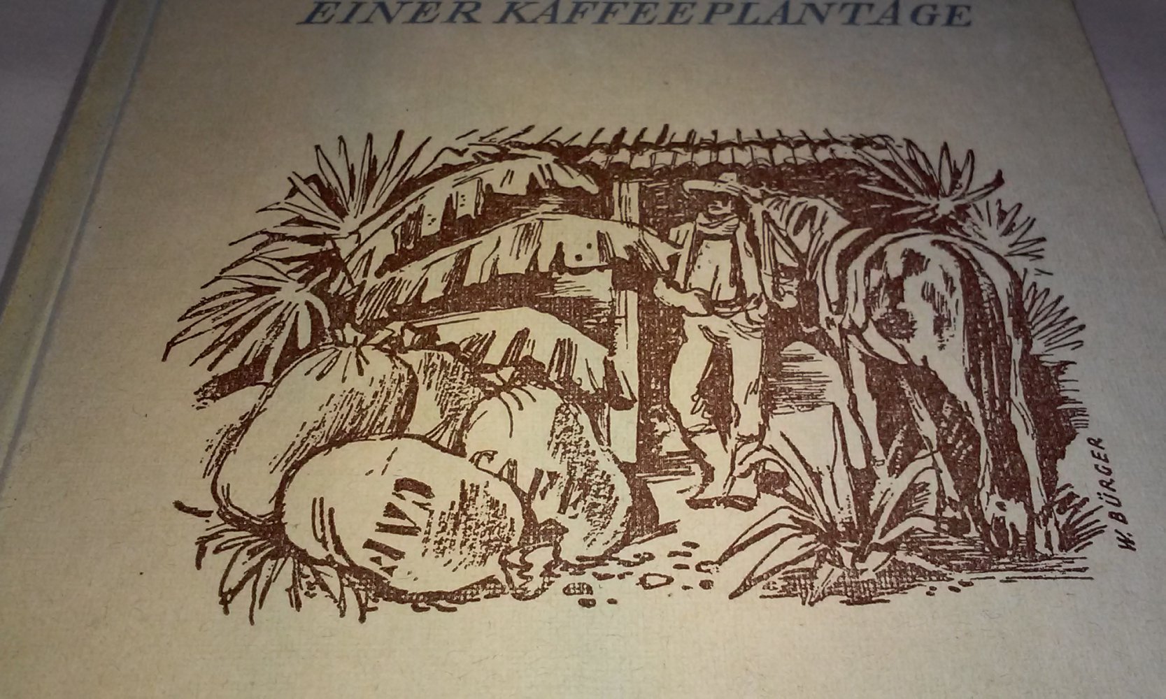 Die Hazienda - historischer Roman einer Kaffeeplantage alte deut.Schrift