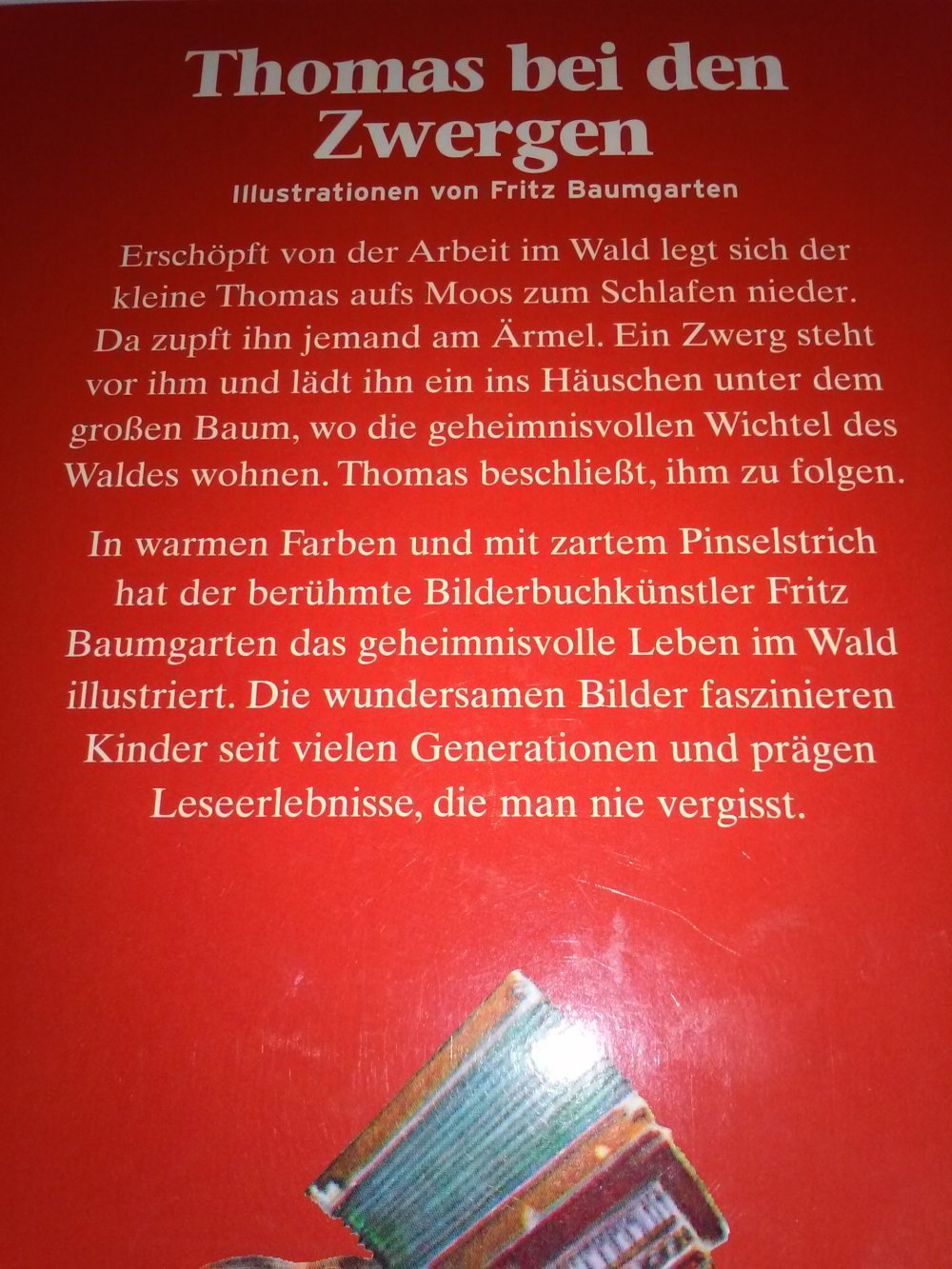  Fritz Baumgarten-Geschichten aus dem Wichtelwald: Thomas bei den Zwergen