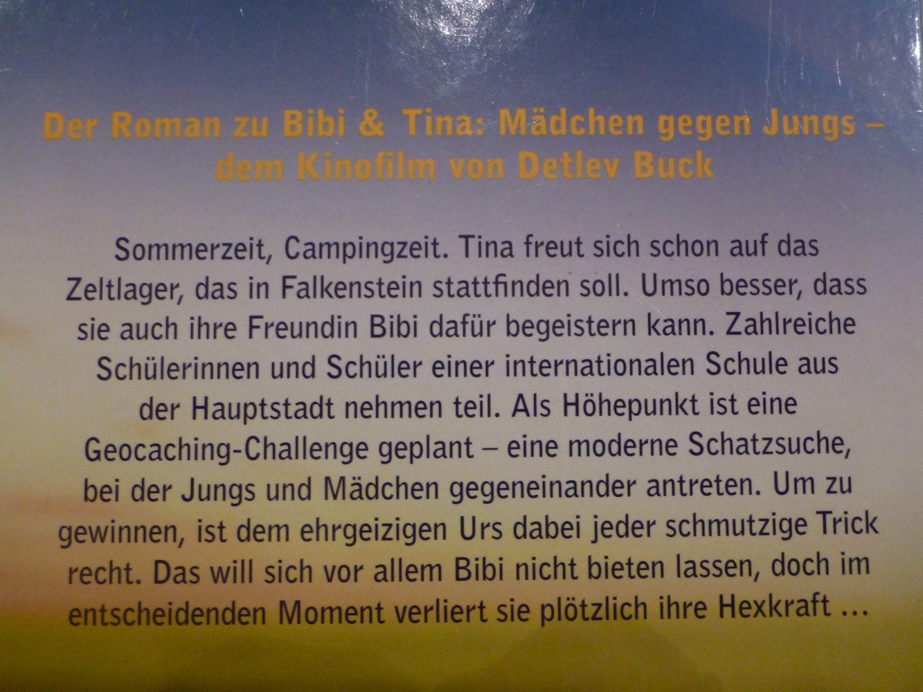 Buch: Bibi und Tina - Mädchen gegen Jungs