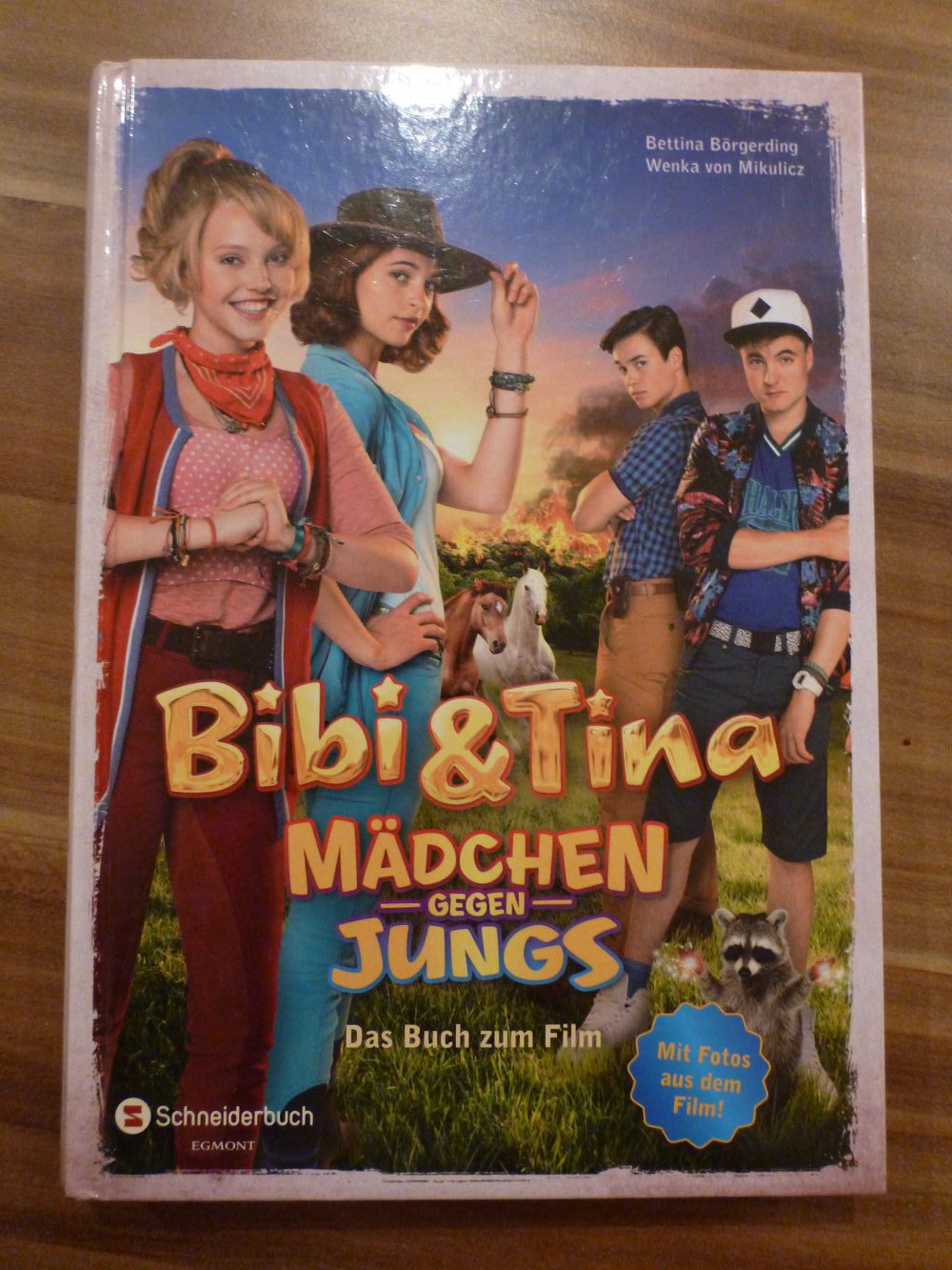 Buch: Bibi und Tina - Mädchen gegen Jungs