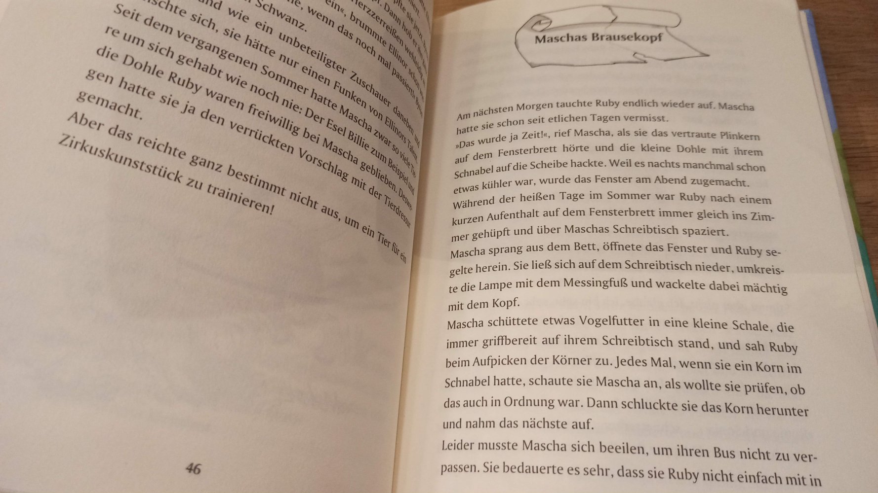 Große Klasse, kleiner Hund, ab 10 Jahre
