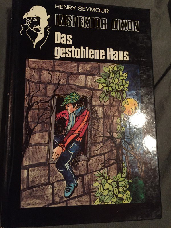 Buch Das gestohlene Haus