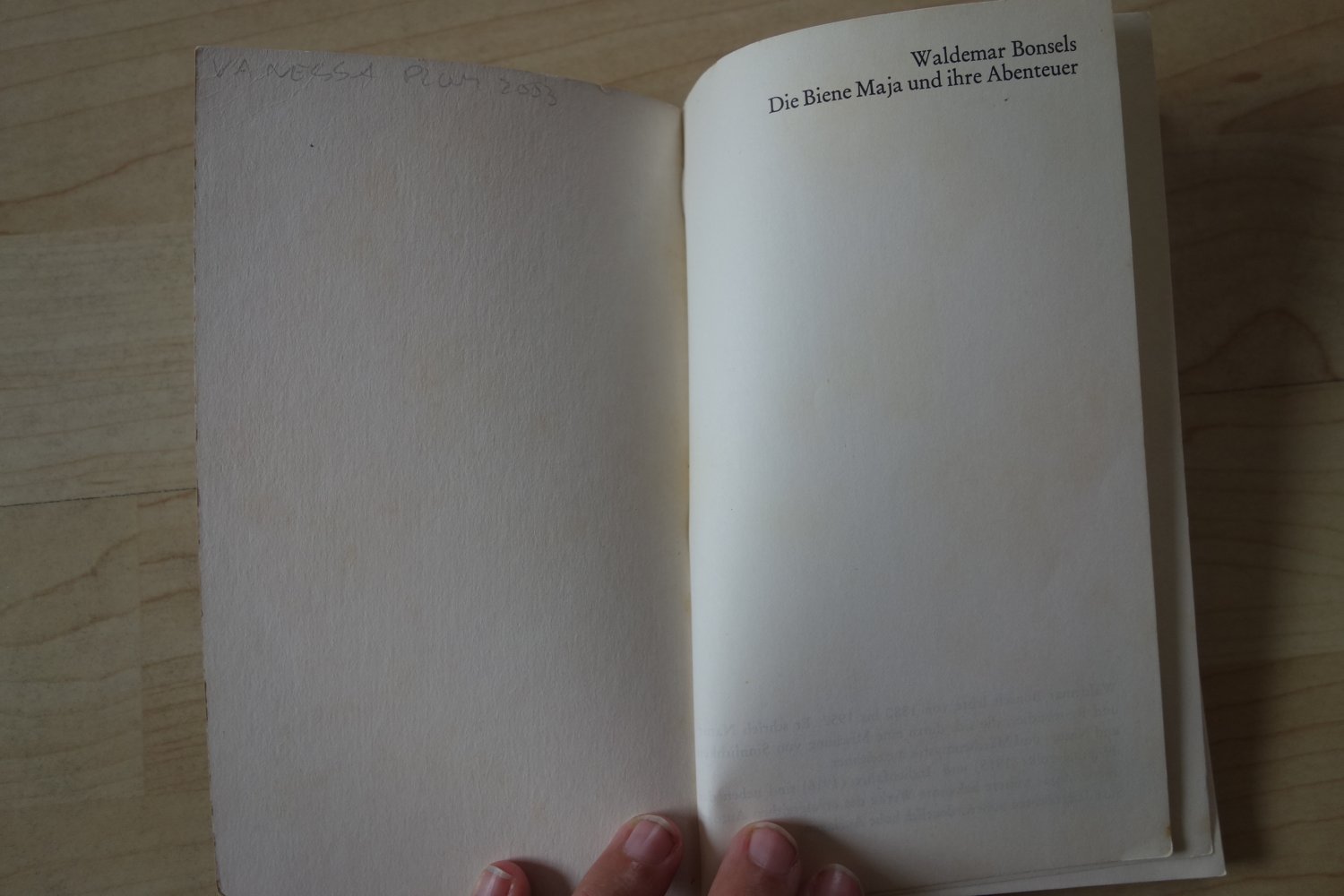 Waldemar Bonsels die Biene Maja und ihre Abenteuer dtv junior Taschenbuch