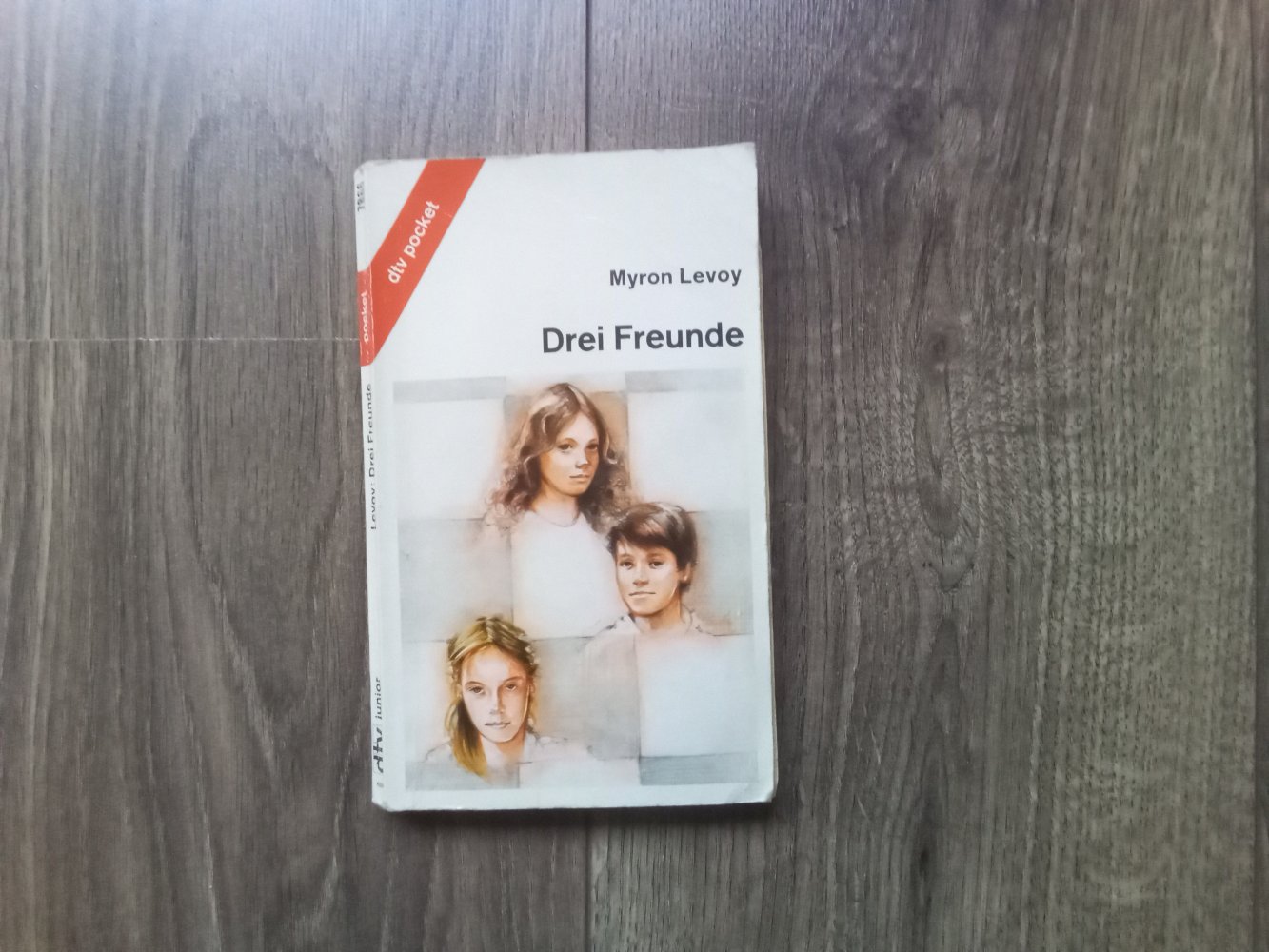 Taschenbuch Drei Freunde Myron Levoy dtv Pocket Junior 