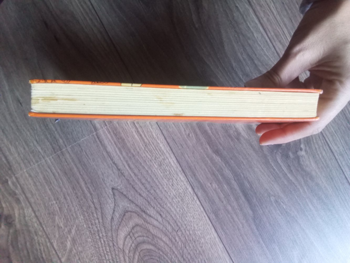 Telegramm aus Liliput Henry Winterfeld Blanvalet Buch gebunden