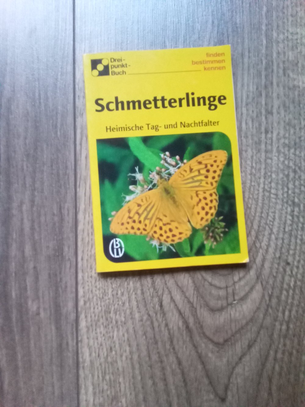 Schmetterlinge Heimische Tag- und Nachtfalter finden bestimmen kennen Dreipunkt-Buch Alfred Handel Dorothee Eisenreich Neuer Kaiser-Verlag