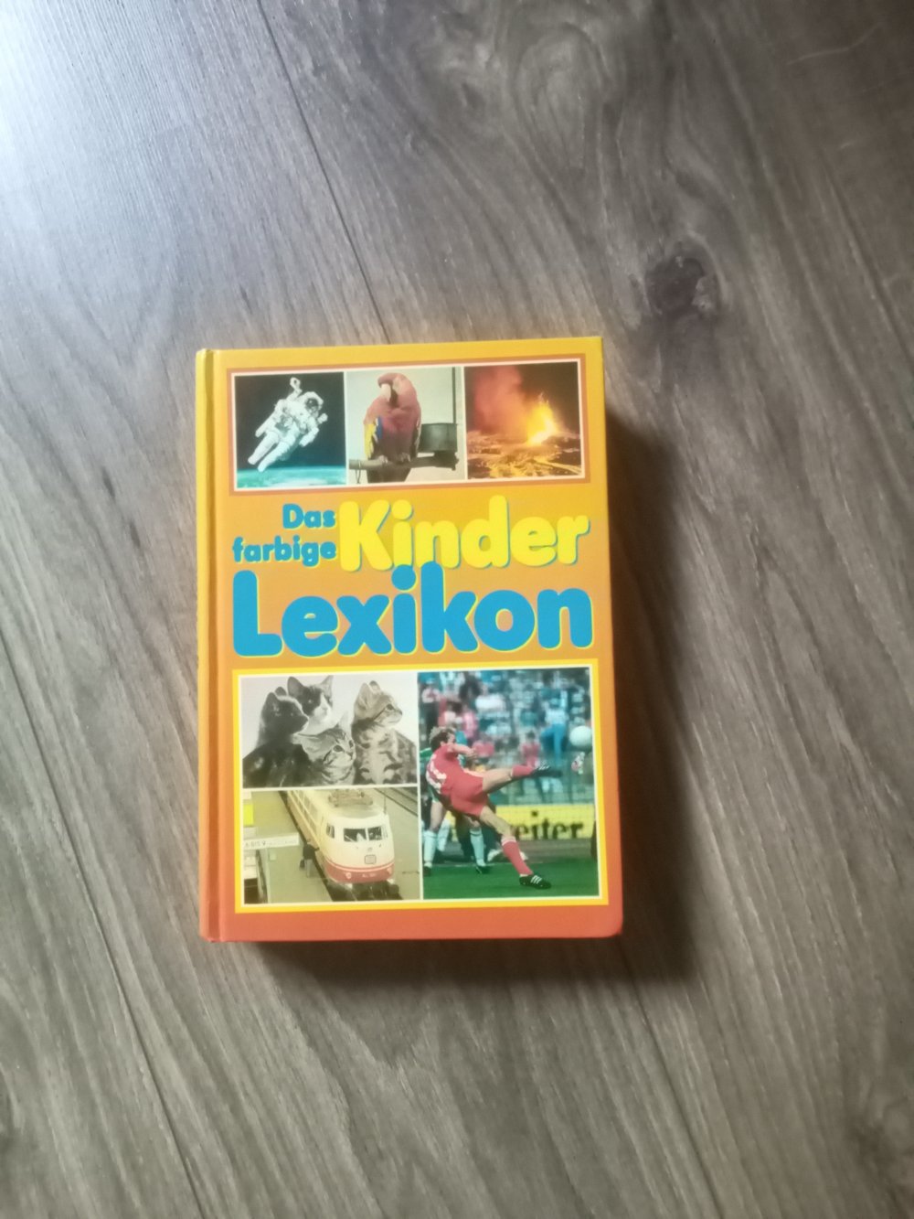 Das farbige Kinderlexikon Buch gebunden 1987