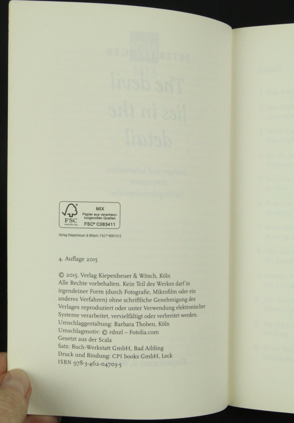 The devil lies in the detail Sachbuch Buch Peter Littger Englisch Sprache
