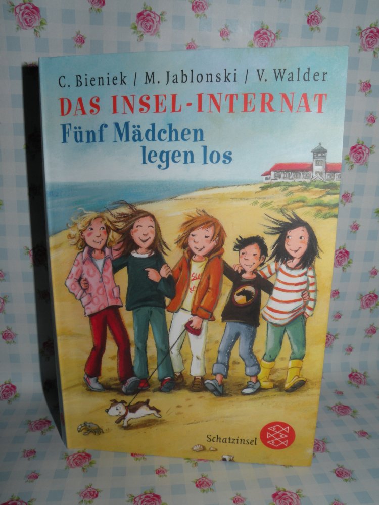 Buch Das Insel-Internat Fünf Mädchen legen los super Zustand 1x gelesen Schatzinsel