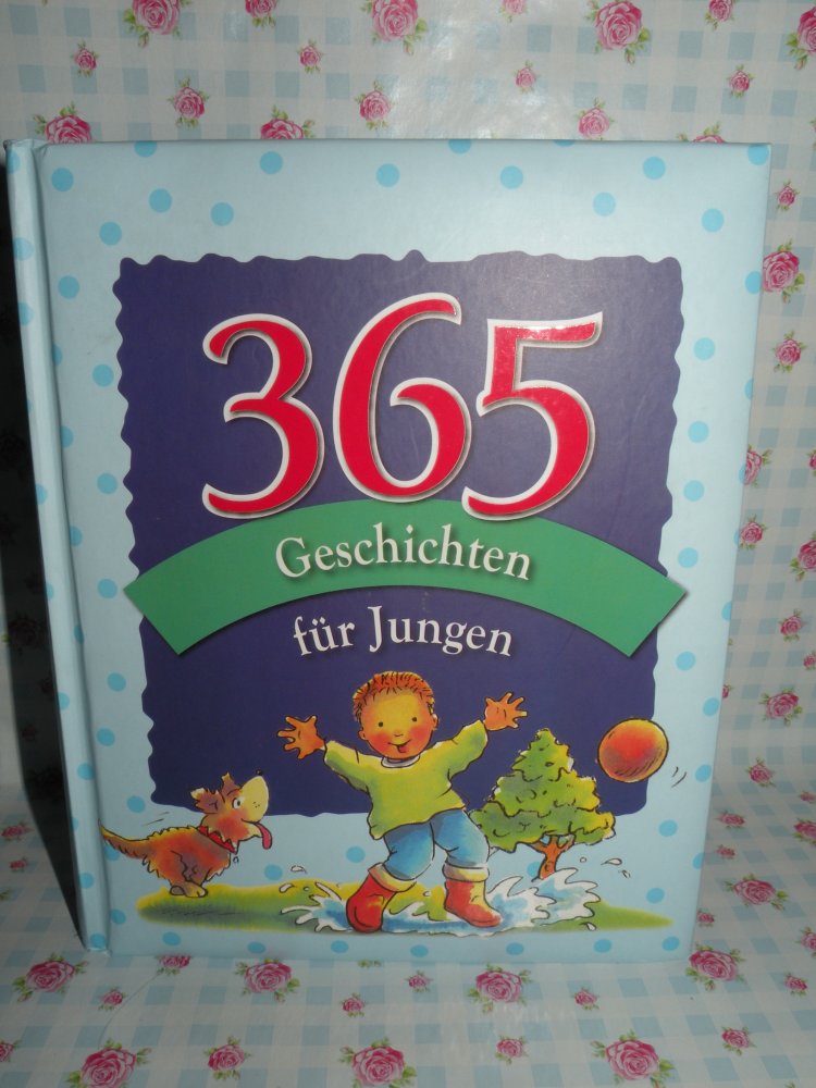 Buch 365 Geschichten für Jungen top Zustand wie neu