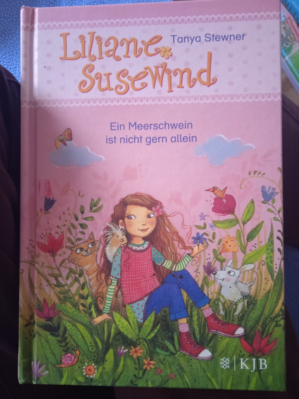 Liliane susewind Buch neuwertig 