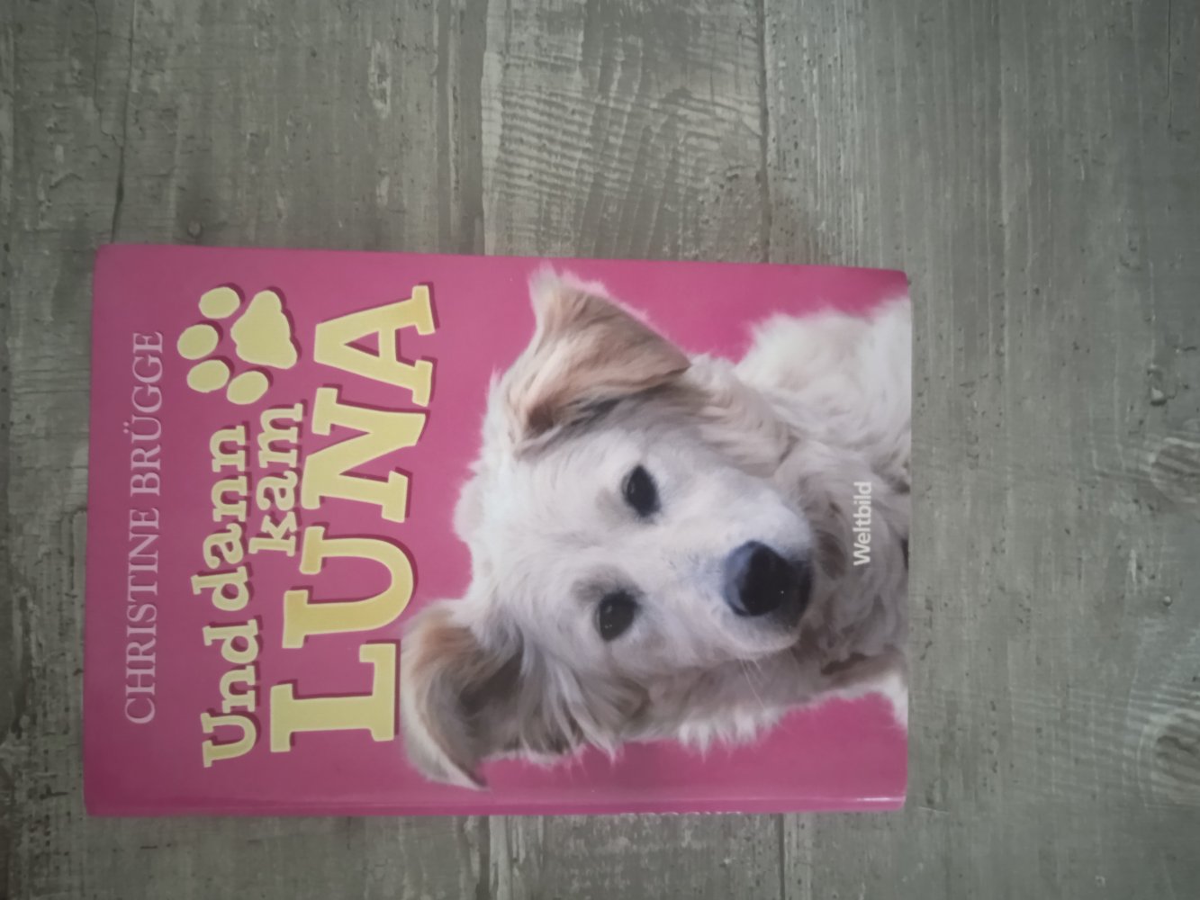 Weltbild Buch dann kam Luna 