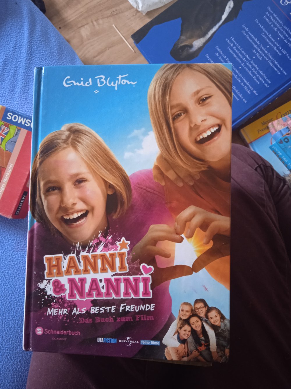 Hanni und Nanni 2 neuwertig 