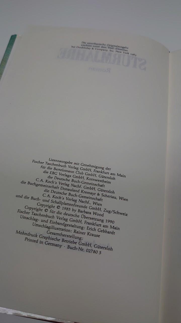 Buch Sturmjahre Barbara Wood