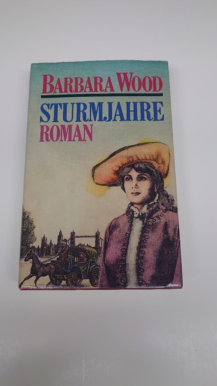 Buch Sturmjahre Barbara Wood