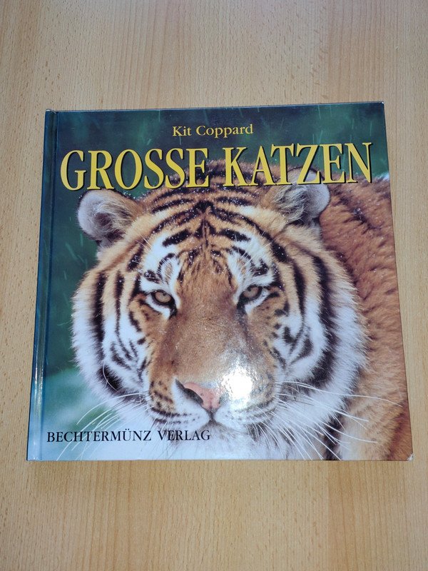 Grosse Katzen