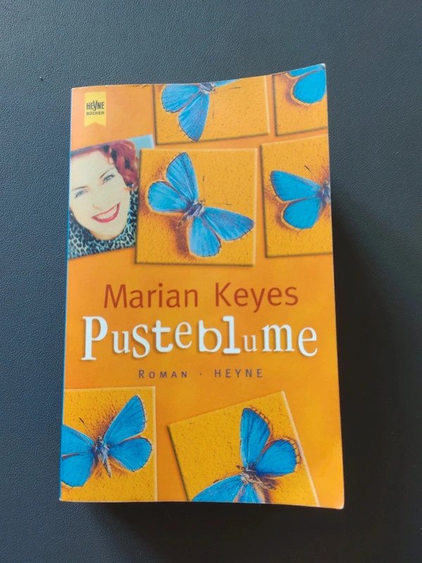 Pusteblume 